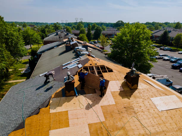Best Roof Maintenance Services  in Holmen, WI