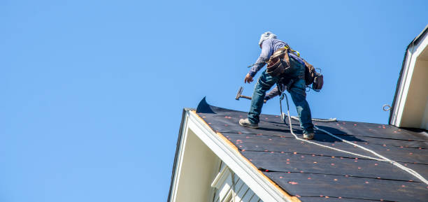 Best Roof Repair Services  in Holmen, WI